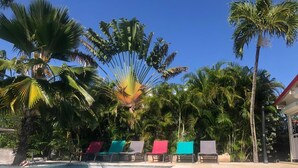 A swimming pool with clear blue water, surrounded by palm trees and colorful lounge chairs. - VILLA WITH PRIVATE POOL & GARDEN (8 PEOPLE) IN ST FRANCOIS GUADELOUPE (saint françois)