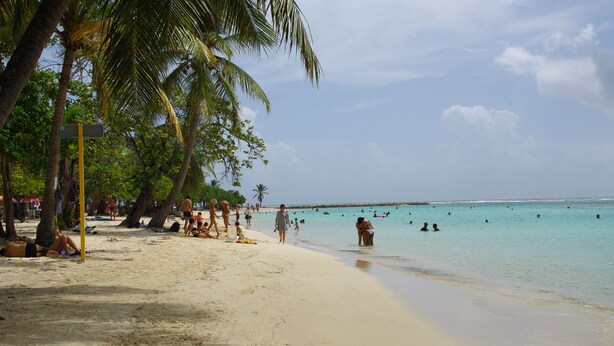A beach with palm trees, people sunbathing, and swimmers in the water. - VILLA WITH PRIVATE POOL & GARDEN (8 PEOPLE) IN ST FRANCOIS GUADELOUPE (saint françois)