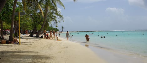 بالقرب من الشاطئ، كراسي للتشمس