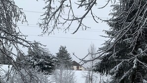 Schneebedeckte Landschaft mit Bäumen und einem Haus im Hintergrund.
