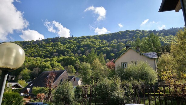 Un quartier résidentiel où les maisons sont entourées d’une végétation luxuriante et où l’on aperçoit une colline en arrière-plan.