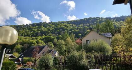 2** (2024) single-storey studio near mountains and town center