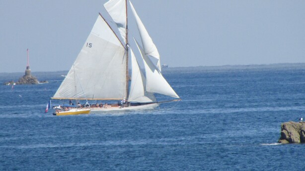 Eine Segelyacht mit weißem Segel, auf dem die Zahl 15 zu sehen ist, fährt auf dem Wasser.