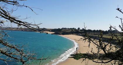 SAUNA-BILLIARDS-PING-PONG... IN THE BAY OF MONT-ST-MICHEL/ST-MALO