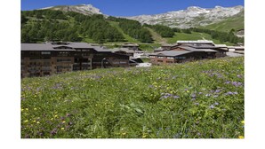 Un hotel de varios pisos, rodeado por un paisaje montañoso y un campo de flores silvestres.