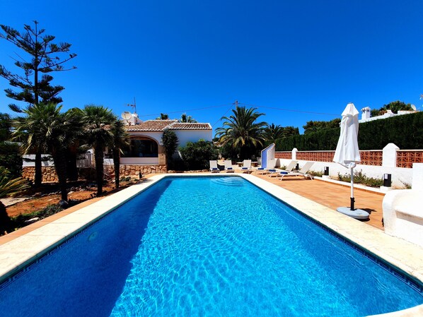 A rectangular swimming pool with clear blue water, surrounded by a tiled deck. There are lounge chairs and umbrellas on the right side, and palm trees and a stone wall on the left.