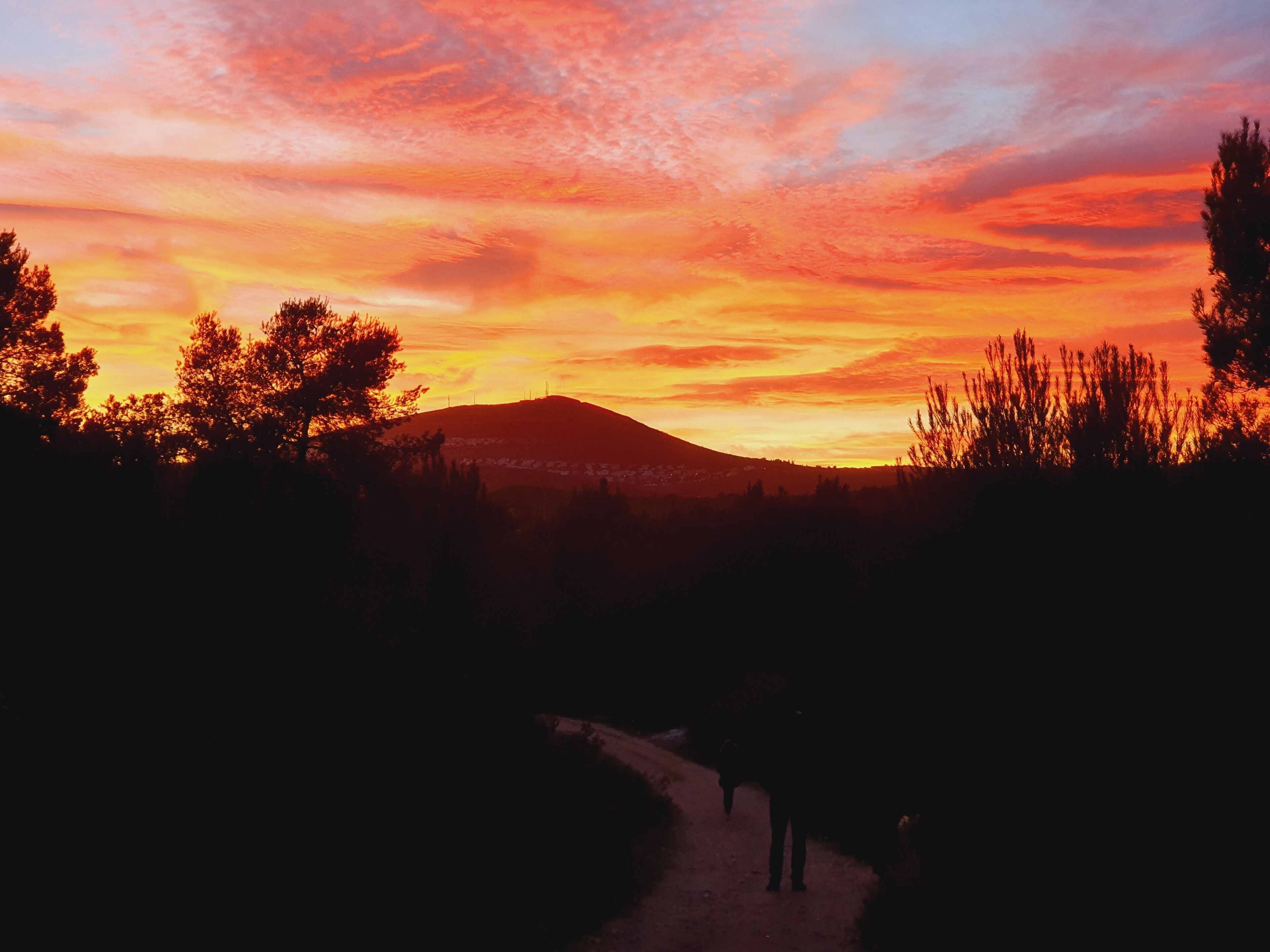 Una vista al atardecer con un sendero que lleva a una colina.