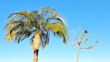 Ubicación cercana a la playa