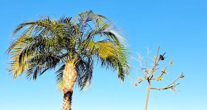 Viehättävä Villa Javea Alpeilla ja Wifi