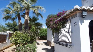 Un étroit sentier mène à un bâtiment blanc portant le numéro 22, qui est entouré d’une végétation luxuriante et d’un palmier.