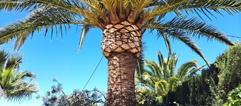 Charmante Villa in Javea mit privatem Pool und Wifi