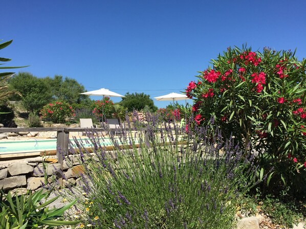 Ein Poolbereich mit einer Steinmauer, umgeben von verschiedenen Pflanzen und Blumen, sowie zwei weißen Sonnenschirmen.