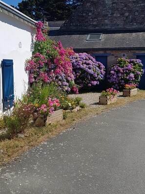 Overnattingsstedets uteområder