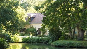 A serene pond with ducks, surrounded by lush greenery and a house with a sloped roof.