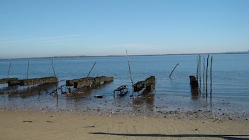 Tæt på stranden