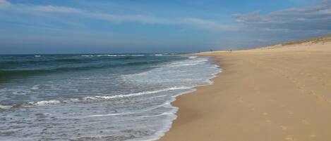 Una spiaggia nelle vicinanze