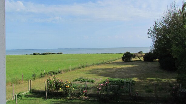 A view of a grassy field with a fence and some flowering plants. - IN FRONT OF THE SEA. ALMOST PENERF ISLAND. WIRELESS. (Damgan)