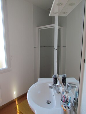 Shower, hair dryer