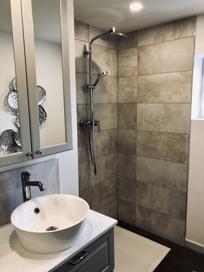 Shower, hair dryer, toilet paper