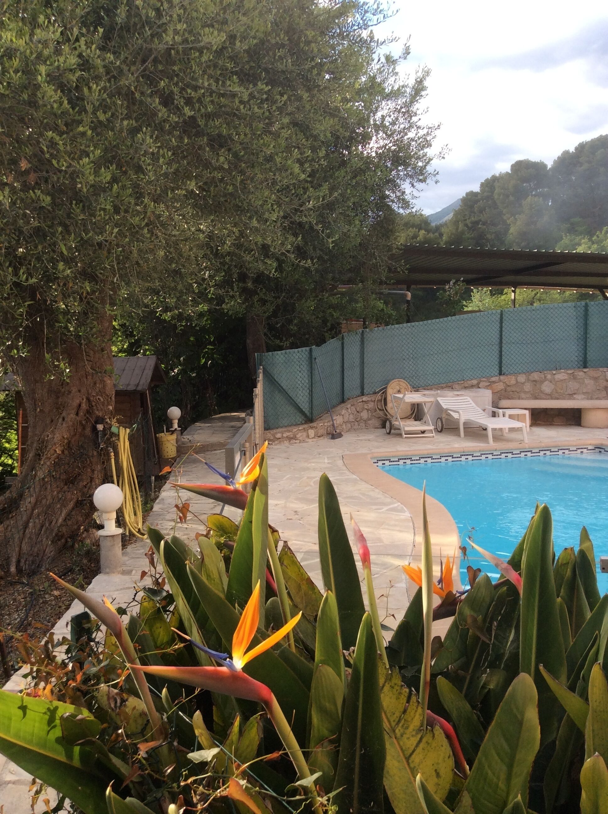 Außenpool, beheizter Pool