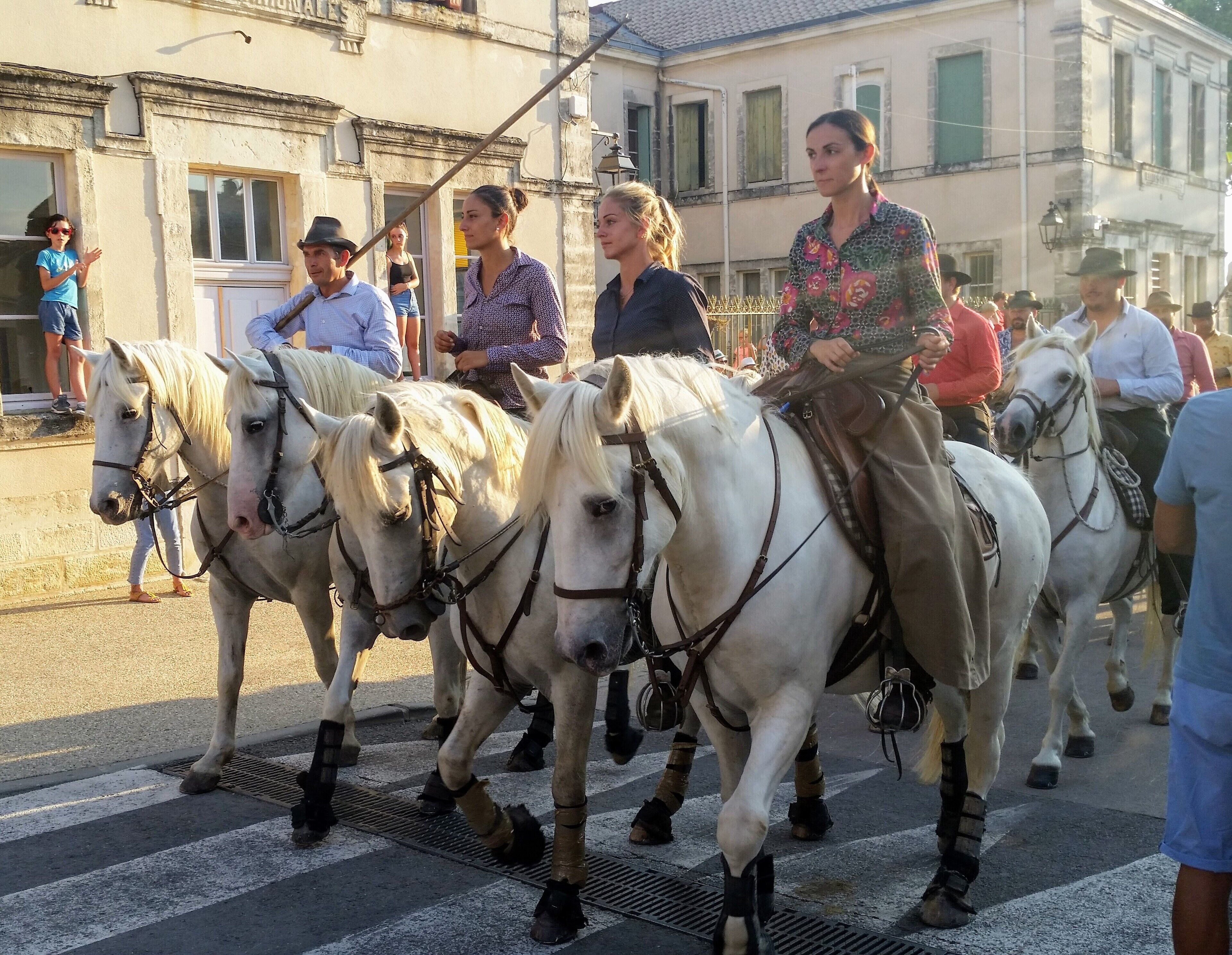 A group of people riding white horses down a street.