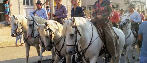 A group of people riding white horses down a street.