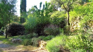 Terrein van de accommodatie