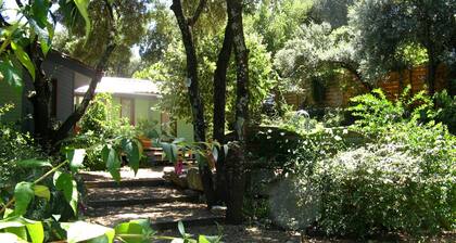 Maison et piscine en bois. Jardin sans vis-à -vis, calme et ombragé
