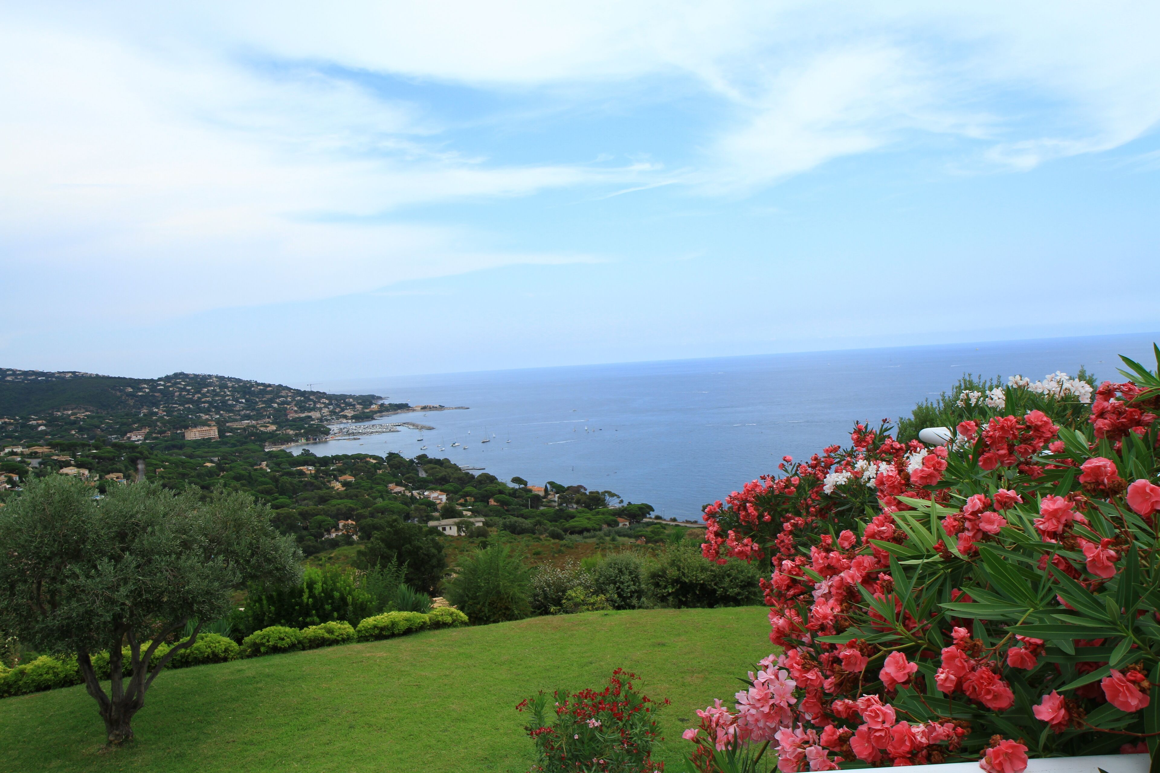A coastal landscape with a view of the sea, green hills, and a garden with pink flowers.