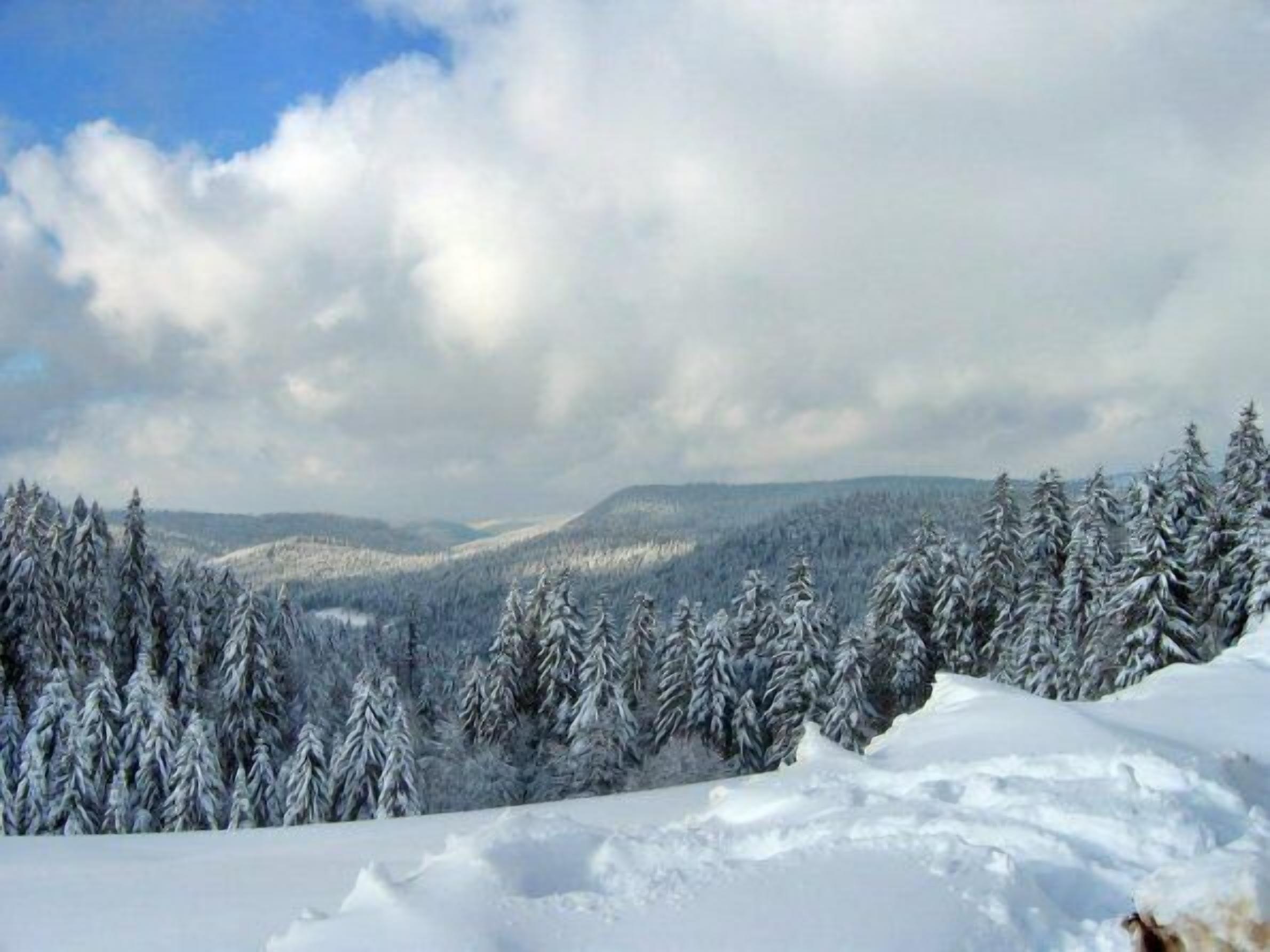 Sports d’hiver