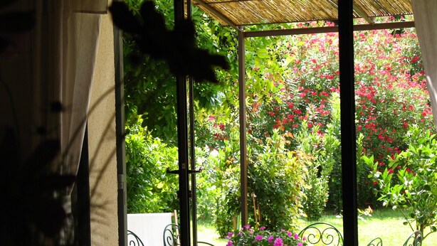 A covered patio with a table and chairs, surrounded by lush greenery and flowering plants.
