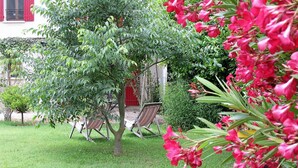 A garden with a tree, a bench, and a building in the background.