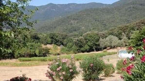 A mountainous landscape with a dirt path leading through a garden with flowering plants.