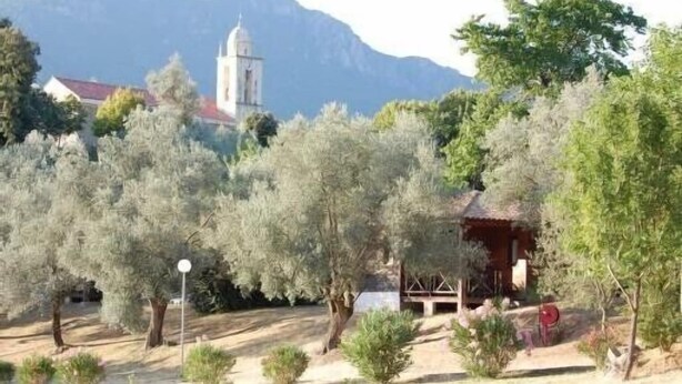 A rustic building with a wooden structure and a red roof, surrounded by olive trees and a mountain in the background.