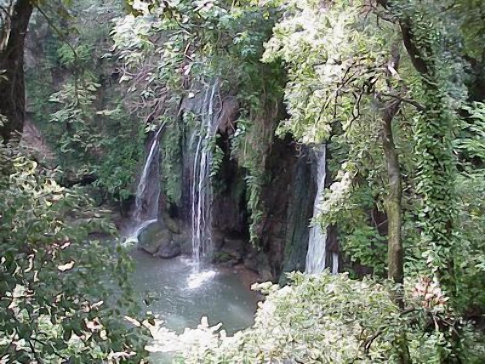 A waterfall in a forested area.
