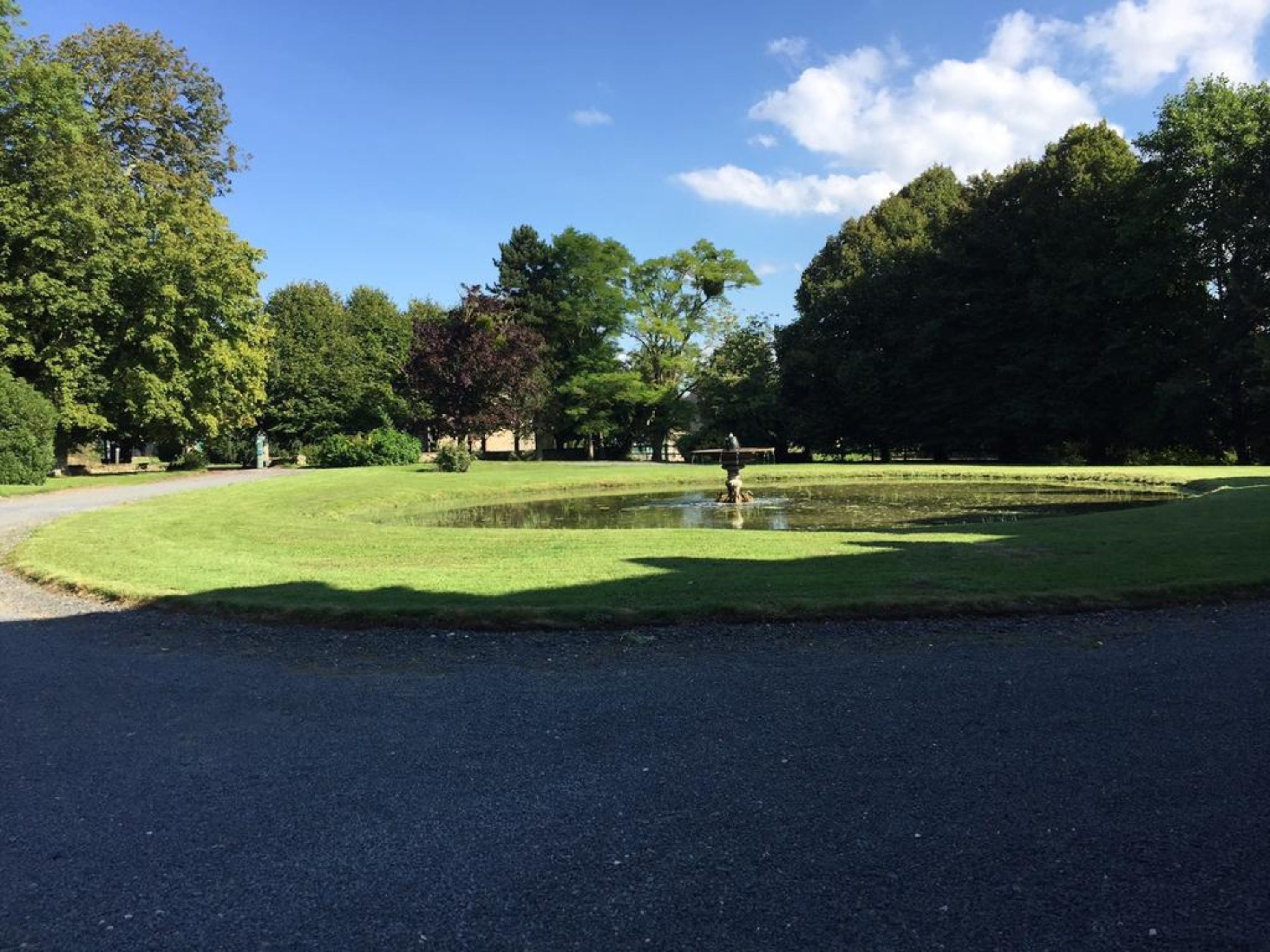 Un parc avec un étang, des arbres et un sentier dallé.