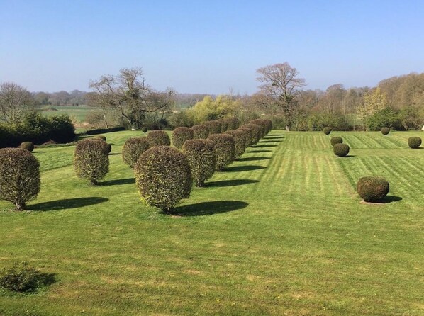 A well-maintained garden with neatly trimmed hedges and spherical topiary trees. - Château d'Asnieres en Bessin (Asnieres-en-Bessin)