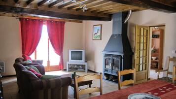TV, fireplace, DVD player, books