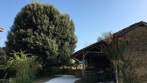 A gravel path leading to a rustic stone building with a wooden roof, surrounded by greenery and a large tree. -  ... Charming Residence in the heart of Gascony, with Jacuzzi & sauna (Estipouy)