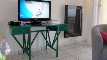Televisión, reproductor de DVD, libros