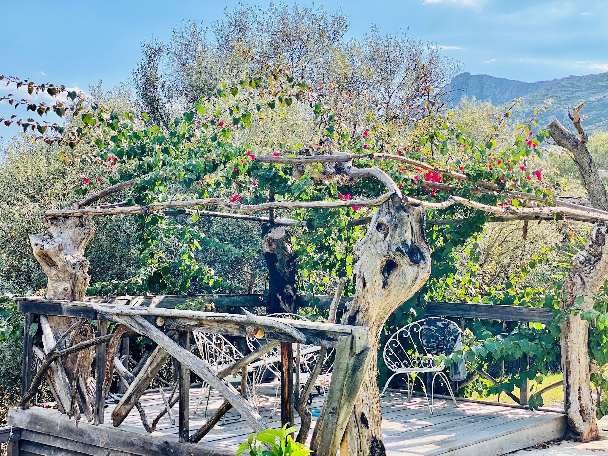 Jardines del alojamiento