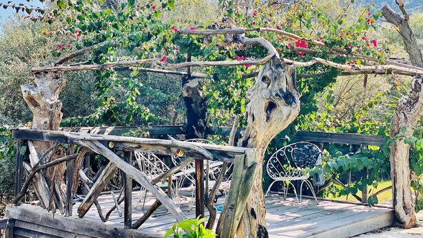 Une pergola rustique en bois, ornée de plantes grimpantes, et un banc en métal, le tout dans un cadre de jardin.