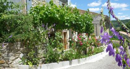 Ventoux Lavandes Velos ***