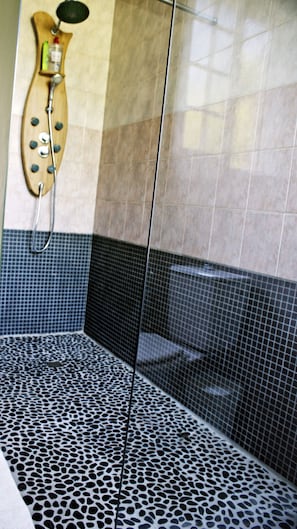 Chuveiro, secador de cabelo, toalhas de banho, papel higiênico