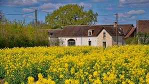 Una casa con techo inclinado y un pequeño balcón, rodeada por un campo de flores amarillas.