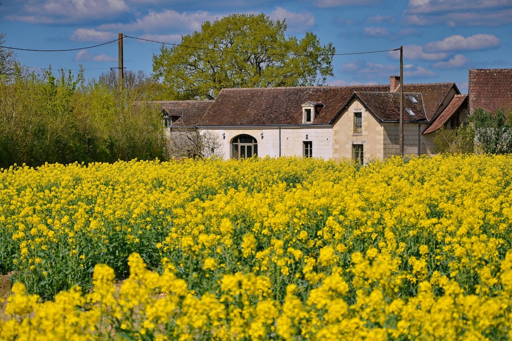 peaceful farmhouse surrounded by fields and woods, renovated comfort