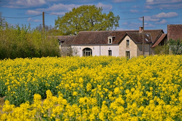 Une ferme paisible à mille lieues des bruits de la ville