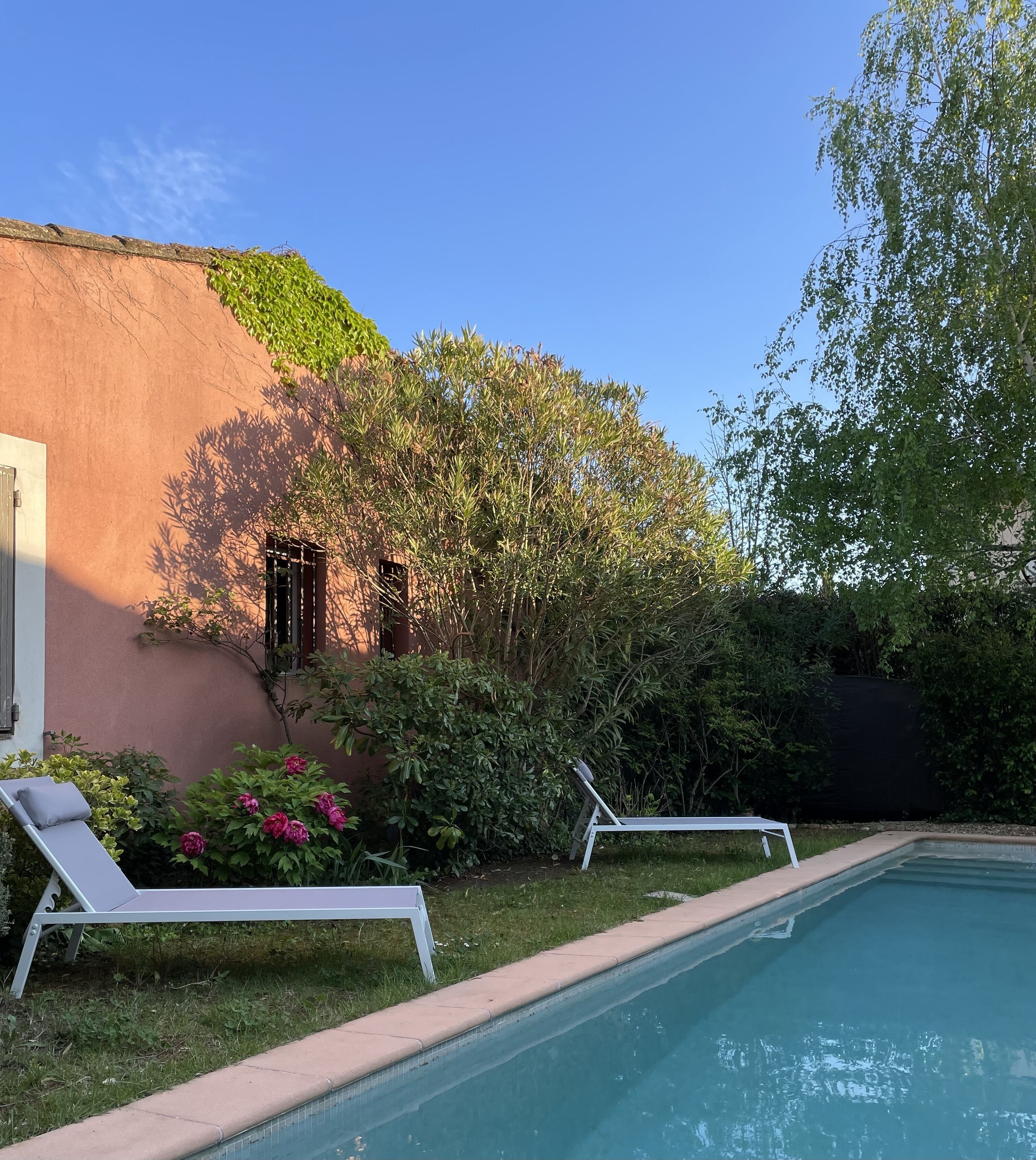 A swimming pool with two lounge chairs, surrounded by lush greenery and a building with a pink facade.