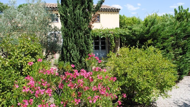 A house surrounded by lush greenery and flowering plants. - Charming Gites in Provence, with pool  (Vaison-La-Romaine)