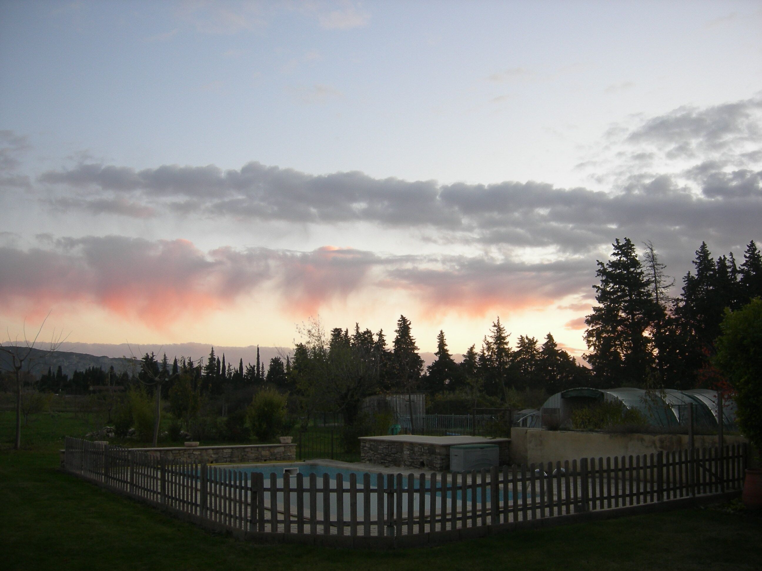 Ein von Bäumen umgebener Garten mit Pool und einem Zaun, bewölkter Himmel.